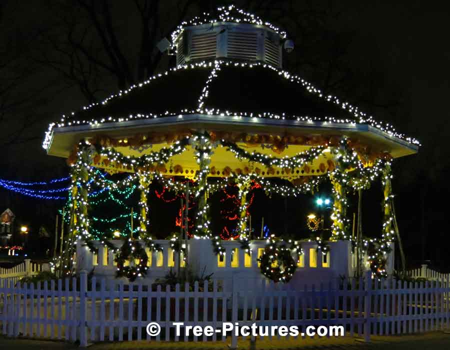 Gage Park Gazebo Decorated For Christmas, Brampton, ON | Xmas Trees at Tree-Pictures.com