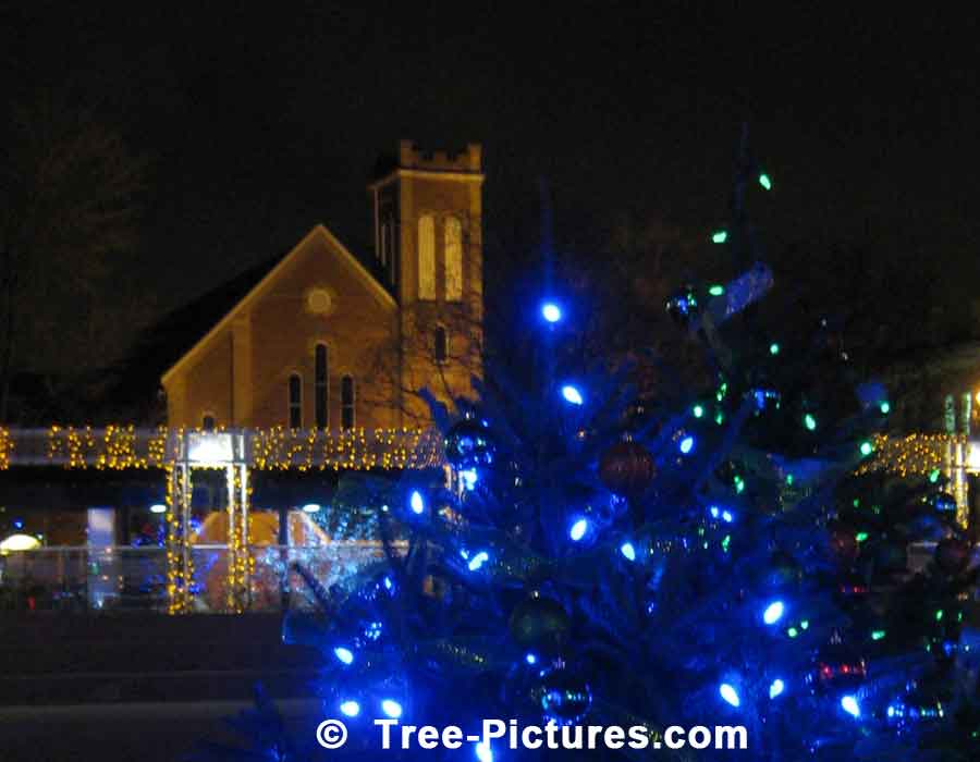 Christmas Lights With Illuminated Church In Background | Xmas Trees at Tree-Pictures.com