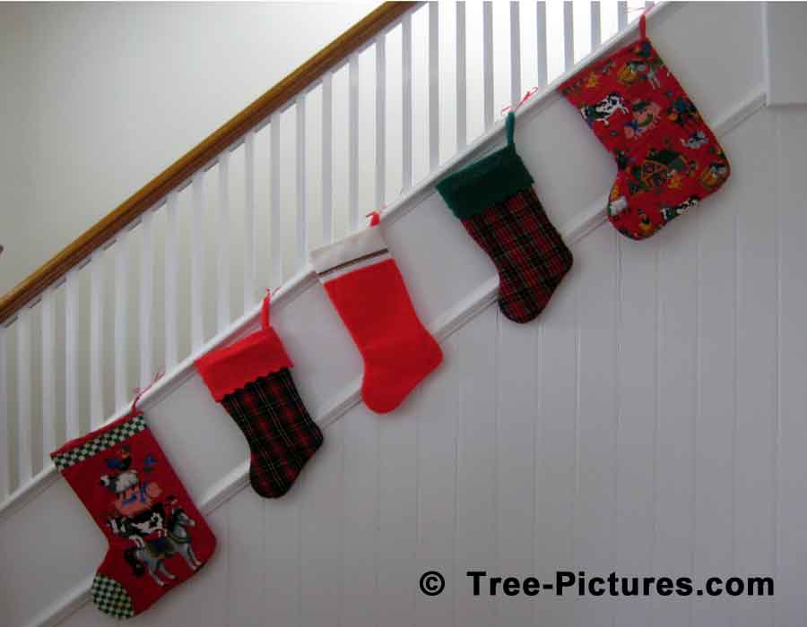 Christmas Season: Stockings for Santa | Xmas Trees at Tree-Pictures.com