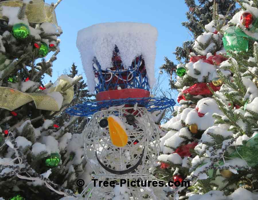 Christmas Trees: Snowman LED Light Decoration | Xmas Trees at Tree-Pictures.com