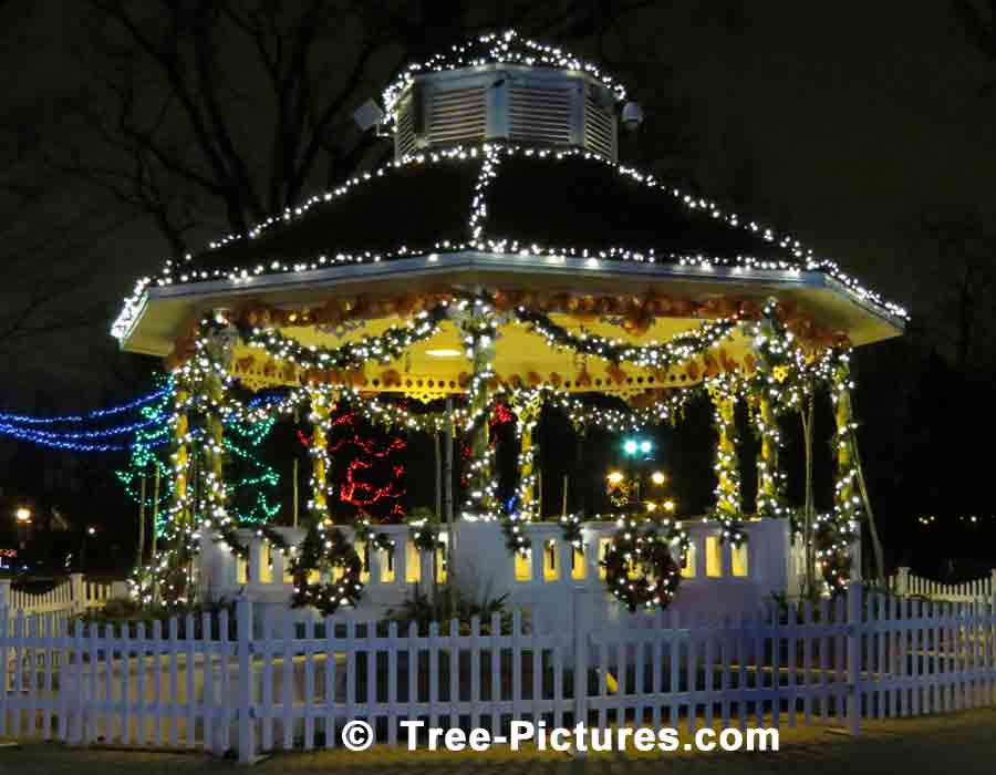 Gazebo Decorated with LED Lights for Christmas | Xmas Trees at Tree-Pictures.com