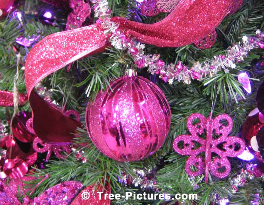 Christmas Season: Christmas Tree Decorations | Xmas Trees at Tree-Pictures.com