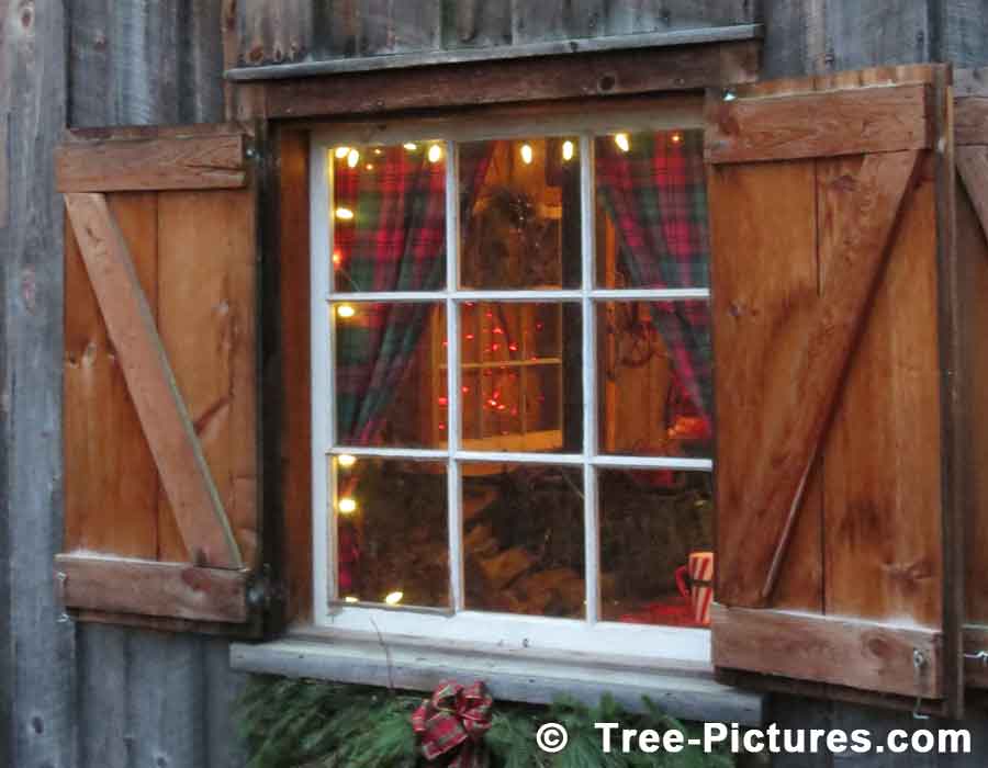 Santas Cabin: Christmas Decorations Ornaments Lights
         | Christmas Trees at Tree-Pictures.com