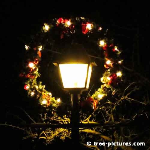 Impressive Christmas Tree Picture, Christmas Wreath Decorating Street Lantern