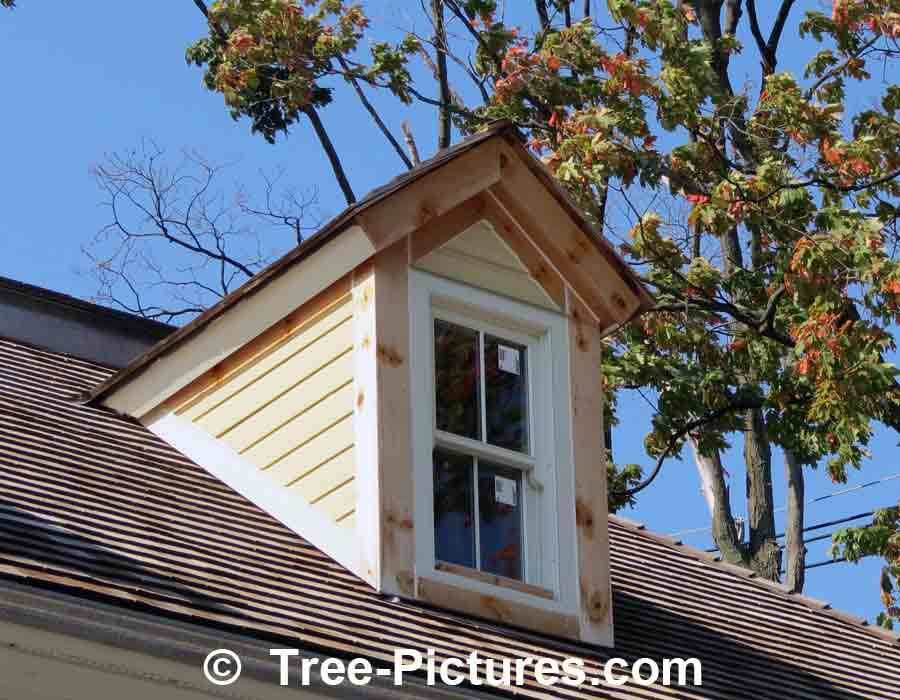Cedar Roof: Cedar Wood Shingles or Shakes are a Upscale Traditional Architectual Roofing Wood