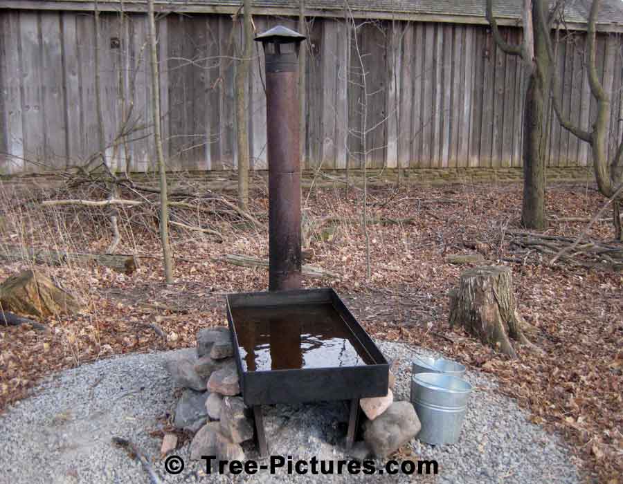 Maple Syrup, Used Equipment For Making Maple Syrup | Maple Trees at Tree-Pictures.com