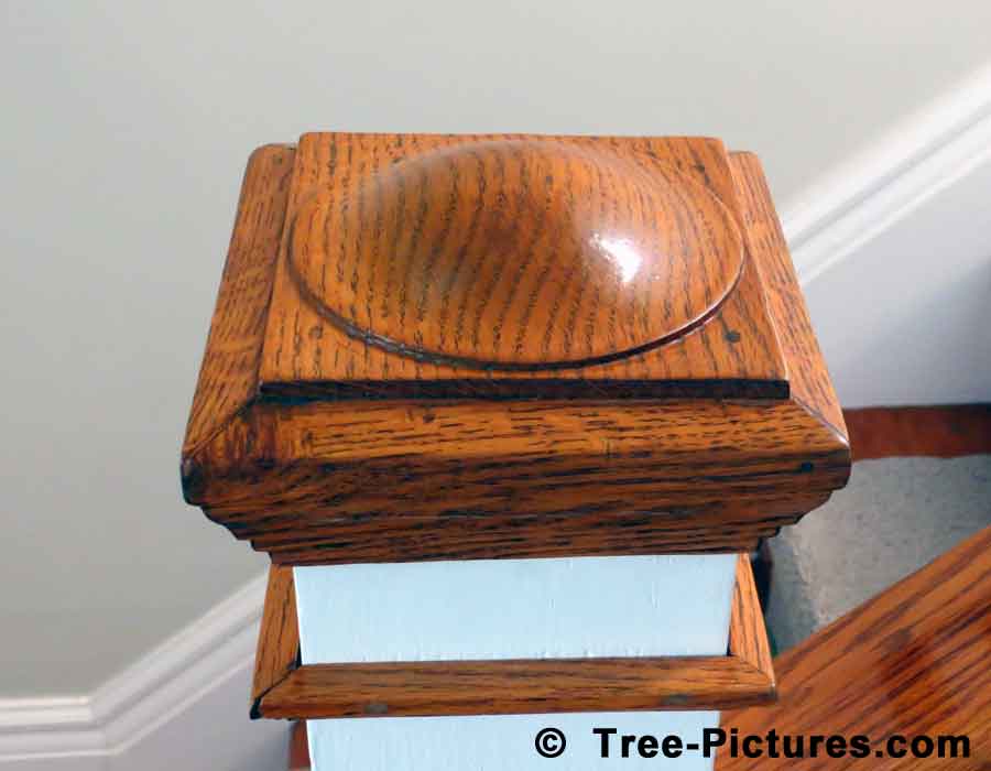 Oak Wood, An Example of Oak Used in the Home, Its Wood Grain is Distinctive of the Oak Tree | Trees:Oak:Red at Tree-Pictures.com