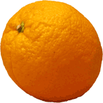 Orange Fruit Tree | Tree-Fruit-Orange @ Tree-Pictures.com