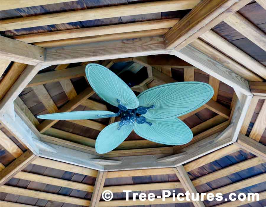 Palm Leaf Fan Creates Cooling Breeze in Gazebo