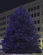 Outdoor Christmas Tree With Blue Lights