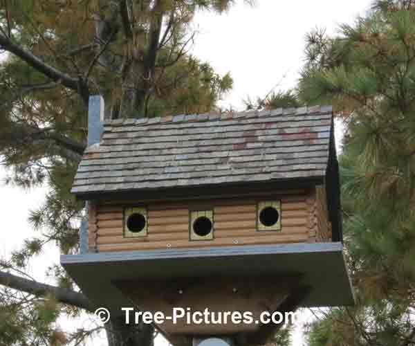 Bird Houses: Log Cabin Birdhouse