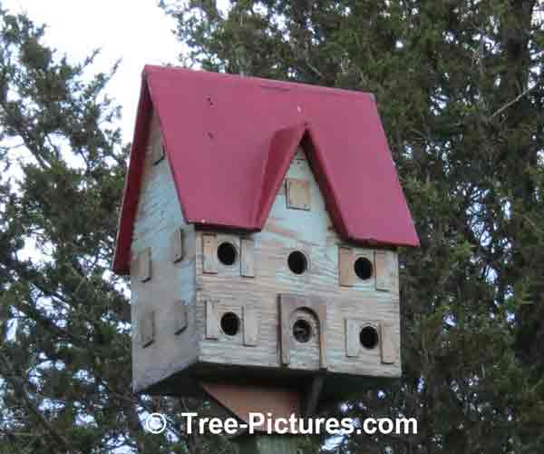 Bird Houses: Red Roof Birdhouse