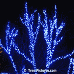Christmas Trees: Xmas LED Blue Lights