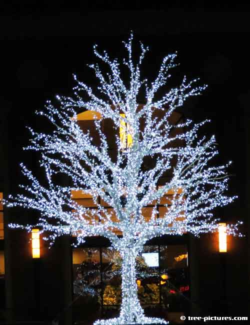 Impressive Christmas Tree Picture, Impressive Artistic White Tree for Christmas