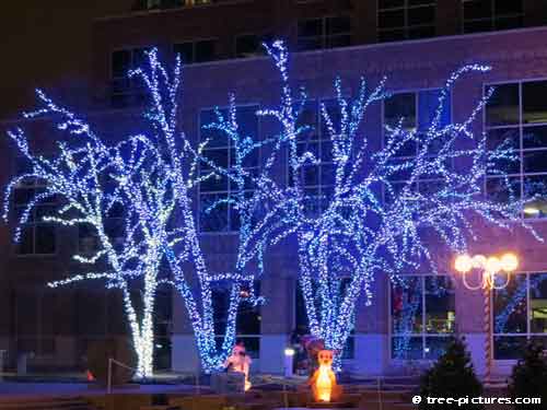 Impressive Christmas Tree Picture, Impressive Blue Tree Lights at Christmas Time