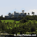 Images of Palm Trees: Tropical Palm Tree Estate in Bermuda
