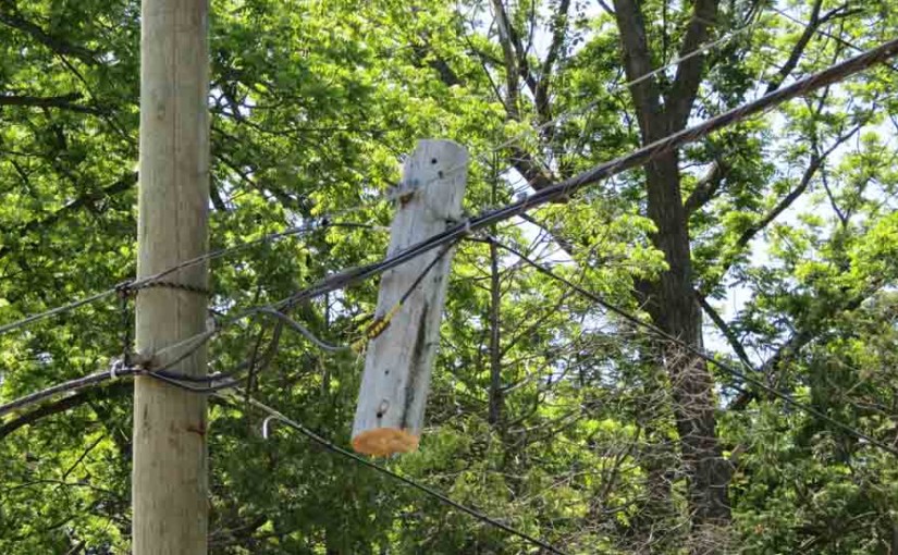 Wood Utilty Pole
