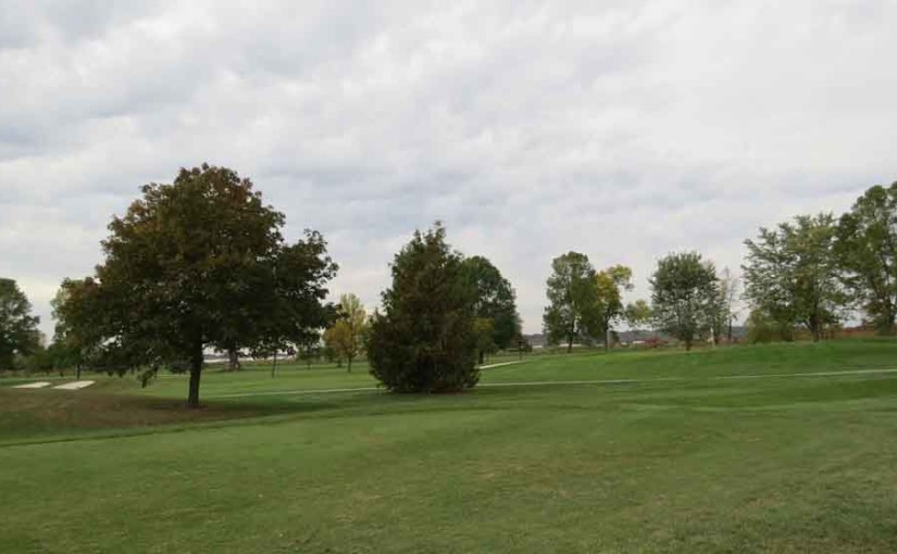 Trees on Golf Course