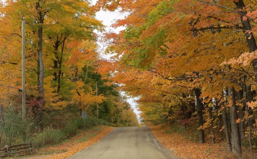 Maples Country Road