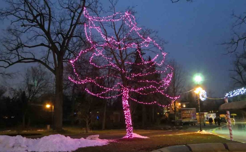 Christmas Tree LED Lights