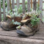 Landscaping Ideas Old Boots Photo