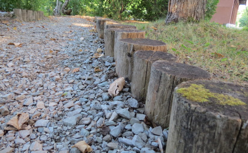 Cedar Stump Walkway