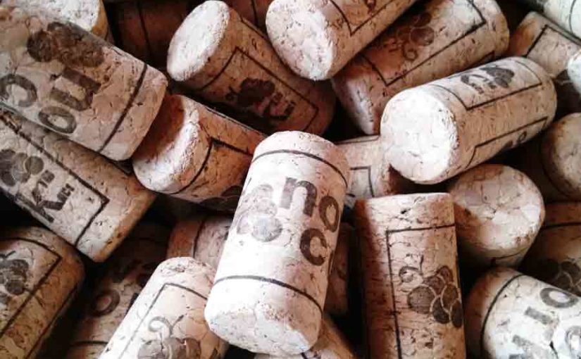 Where Do Corks Come From?