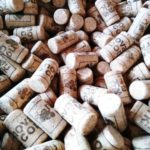 Wine Corks from Cork Oak Tree