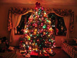christmas tree picture